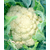  Абени F1 - капуста цветная, 1 000 и 2 500 семян, Seminis/Семинис (Голландия), фото 1 