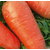  Кордоба F1 - семена моркови, 1 000 000 семян (прецизионные, фр. от 1,4 до 2,6 мм), Bejo/Бейо (Голландия), фото 1 