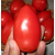  Монти F1 - томат детерминантный, от 1 000 до 25 000 семян, Seminis/Семинис (Голландия), фото 1 