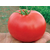  Бобкат F1 - томат детерминантный, 1 000 семян, Syngenta/Сингента (Голландия), фото 1 