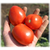  Агрессор F1 - семена томатов, Гавриш/Gavrish (Россия), фото 1 