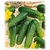  Пируэт F1 - семена огурца партенокарпического, 1 000 семян, Гавриш/Gavrish (Россия), фото 1 