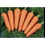  Каскад F1 - семена моркови, 1 000 000 семян (прецизионные, фр. от 1,4 до 2,6 мм), Bejo/Бейо (Голландия), фото 1 