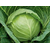  Миррор F1 - капуста белокочанная, 2 500 семян, Syngenta/Сингента (Голландия), фото 1 