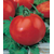  Полбиг F1 - томат детерминантный, 1 000 семян, Bejo/Бейо (Голландия), фото 1 