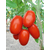  Торквей F1 - томат детерминантный, 1 000 семян,  Bejo/Бейо (Голландия), фото 1 