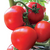  Аламина F1 - семена томатов, 100 и 1 000 семян, Rijk Zwaan/Райк Цваан (Голландия), фото 1 