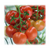  Дирк F1 - семена томатов, 500 семян, Enza Zaden/Энза Заден (Голландия), фото 1 