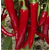  Шакира F1 - семена перца острого, 500 семян, Enza Zaden/Энза Заден (Голландия), фото 1 