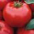  Томск F1 - томат детерминантный, 1 000 семян, Bejo/Бейо (Голландия), фото 1 