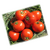  Бехрам F1 - семена томатов, 1 000 семян, Enza Zaden/Энза Заден (Голландия), фото 1 