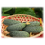  Капучино F1 - семена огурца партенокарпического, 100 семян, Гавриш/Gavrish (Россия), фото 1 