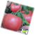  Пинк Трит F1 - семена томатов, 500 семян, Takii Seed/Таки Сидс (Япония), фото 1 