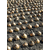  Эксибишен - семена лука репчатого, 10 000 и 250 000 семян, Bejo/Бейо (Голландия), фото 2 