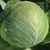  Бригадир F1 - капуста белокочанная, 2 500 семян, Clause/Клаус (Франция), фото 1 