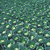  Грин Рич F1 - семена капусты белокочанной, 2 500 семян, Takii Seed/Таки Сидс (Япония), фото 1 