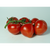  Мимино F1 - семена томатов, Гавриш/Gavrish (Россия), фото 1 