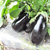  Визир F1 - семена баклажанов, 500 семян, Yuksel seed/Юксел сид (Турция), фото 2 